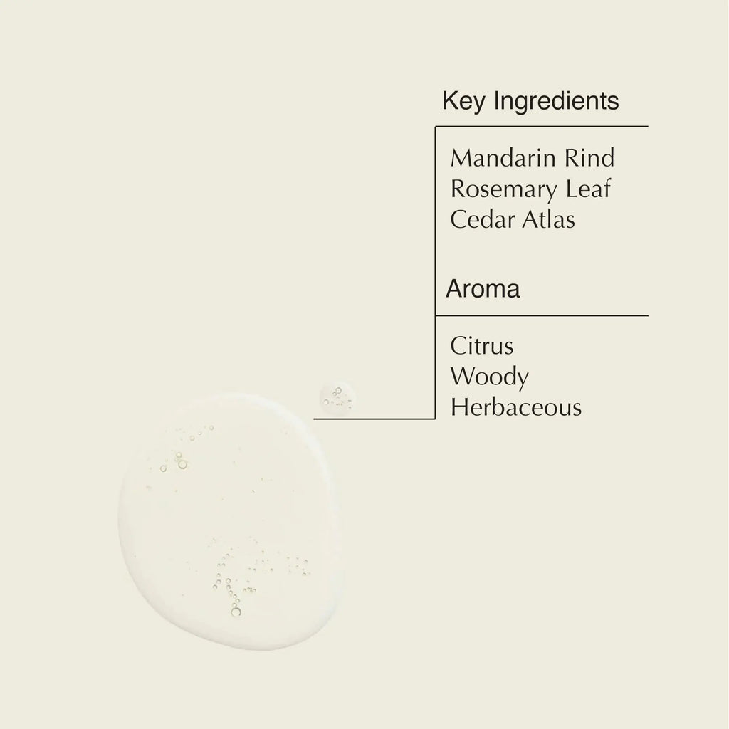 Aesop Resurrection Aromatique Hand Wash | Gentle Cleanser with Orange, Rosemary and Lavender Oils