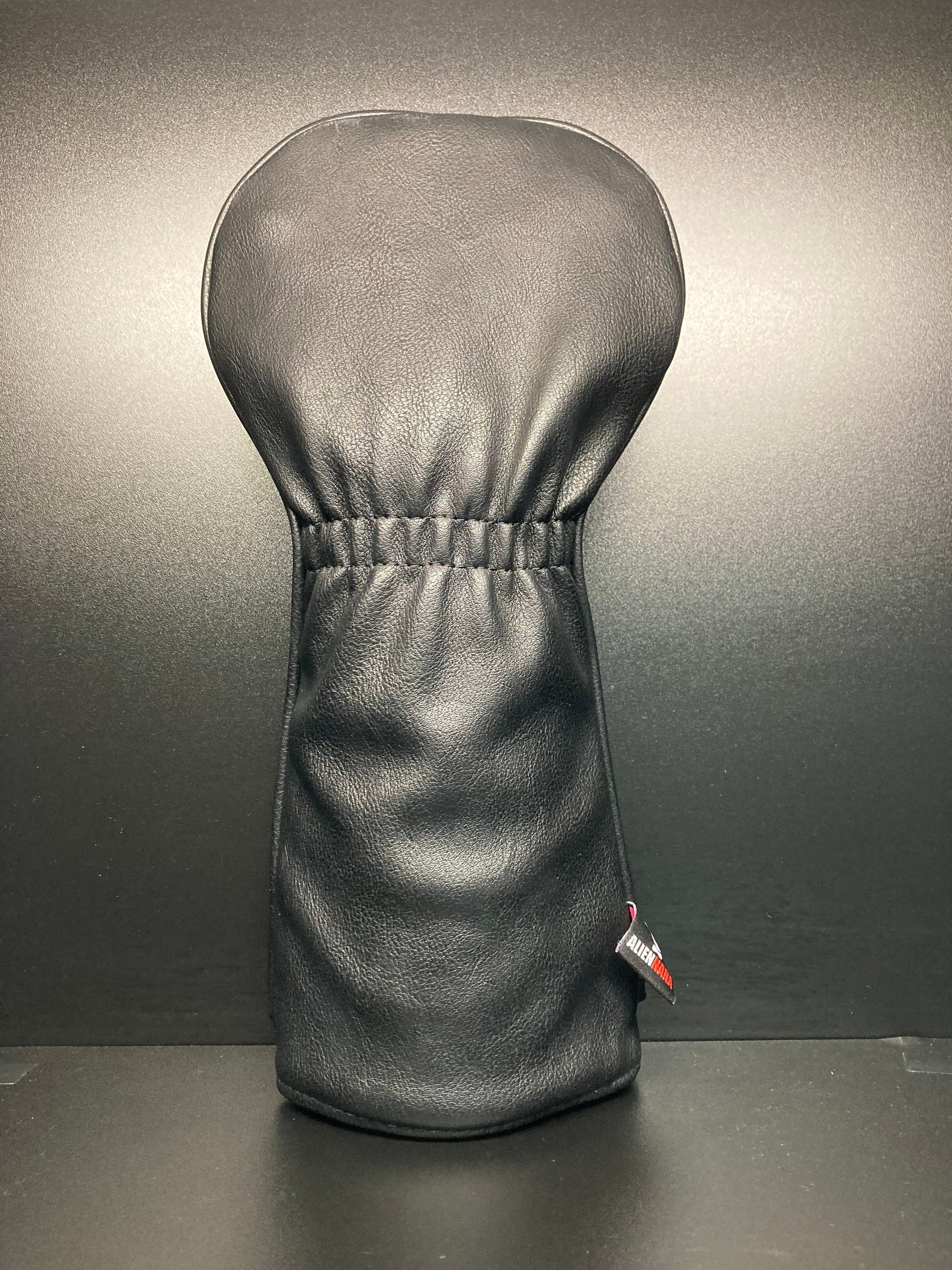 Aliens?! Headcover