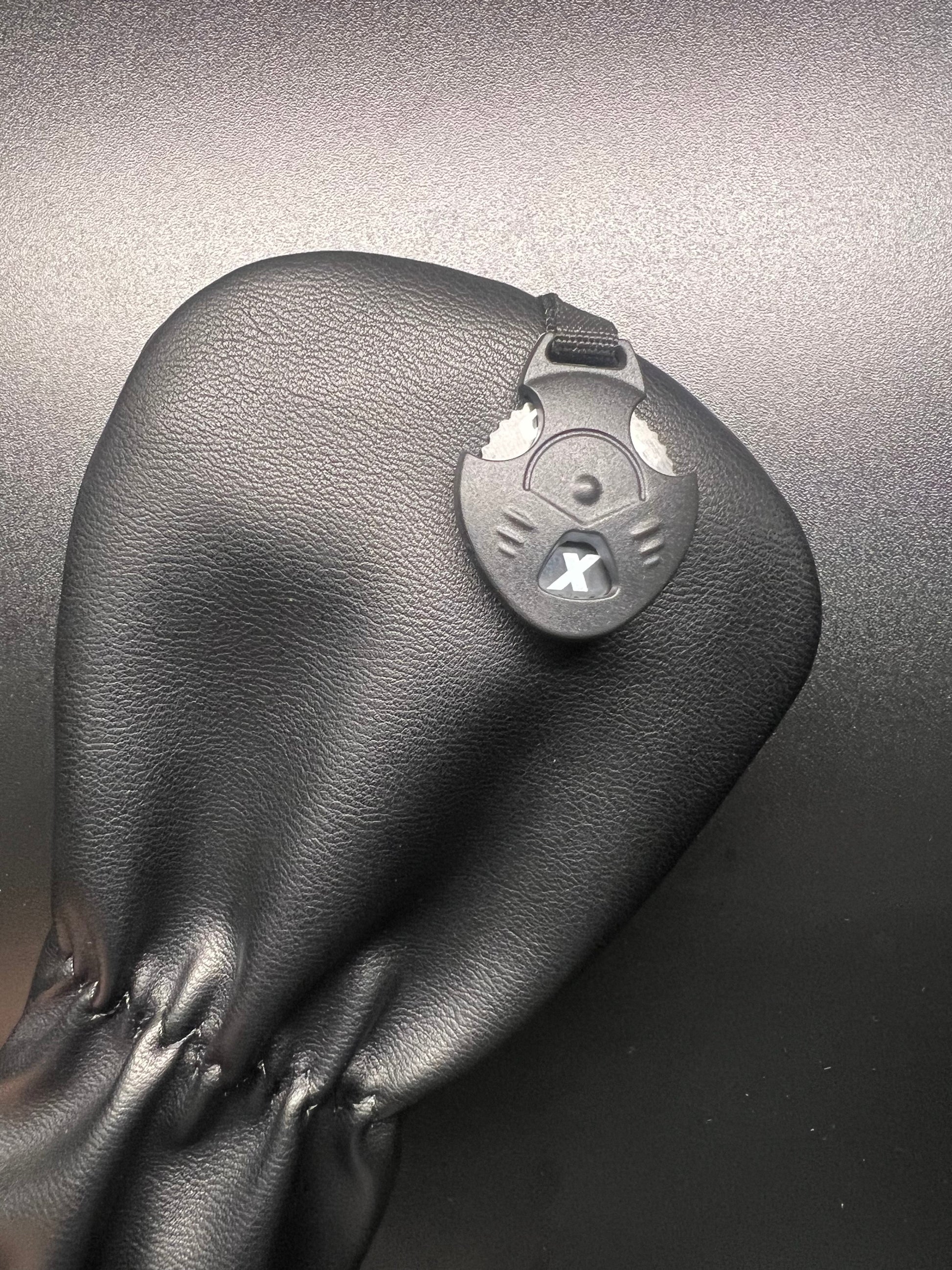 Aliens?! Headcover