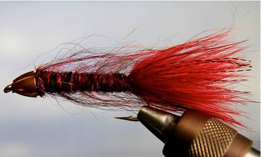 Cone Head - Bite Me Buggers