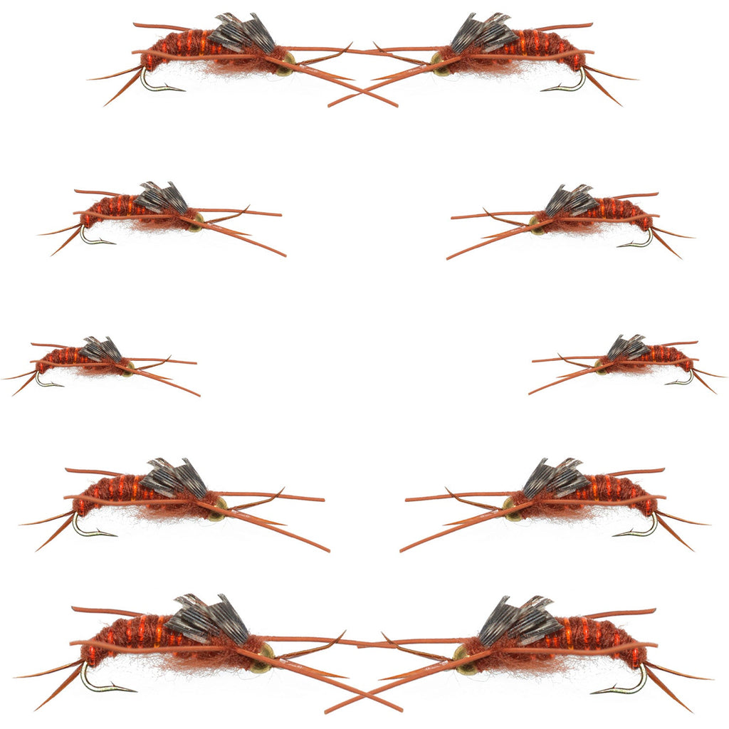 Basics Collection - Kaufmann's Brown Stonefly Nymph Assortment 10 Bead Head Rubber Legs Wet Flies - Hook Sizes 6, 8, 10, and 12