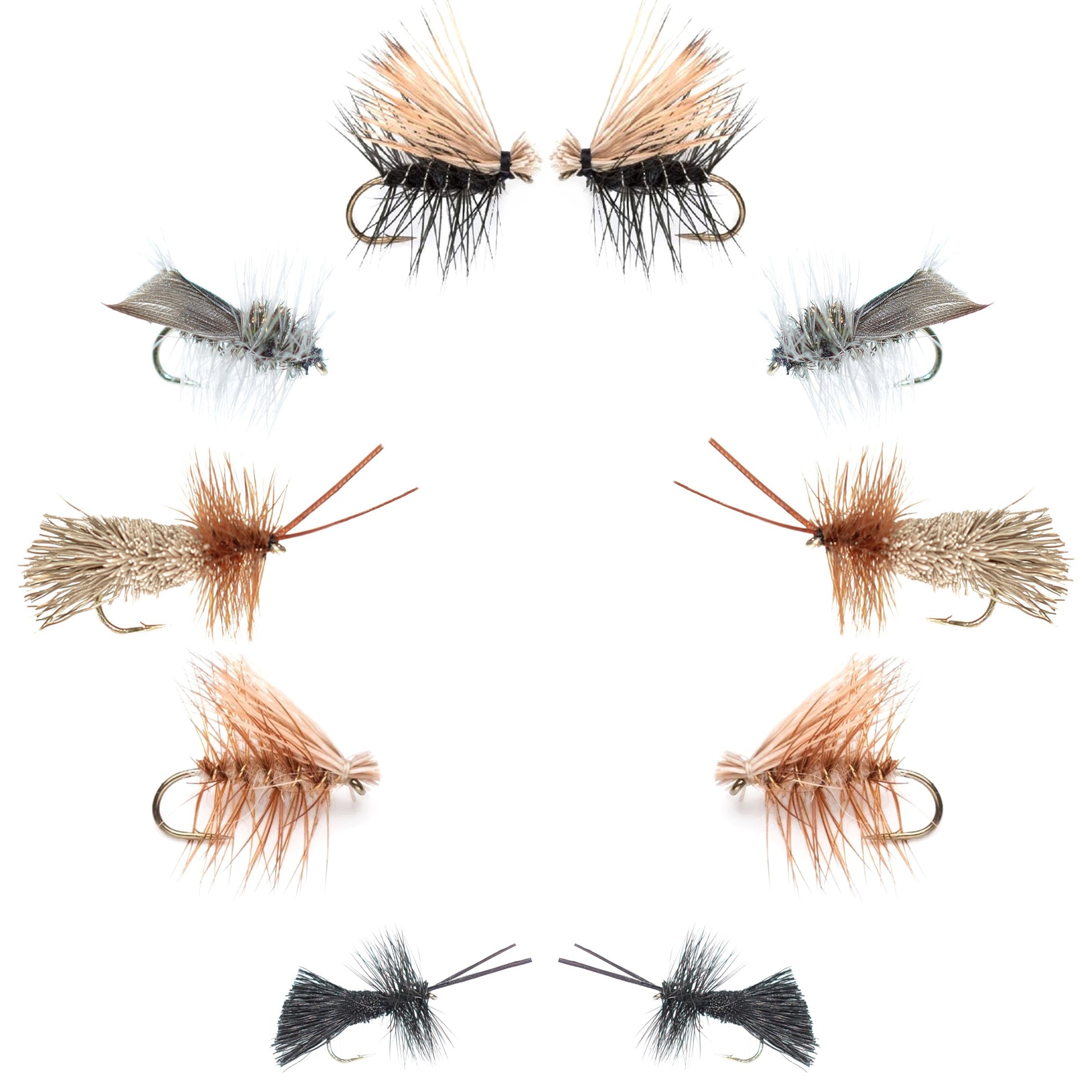 Basics Collection - Essential Caddis Dry Fly Assortment - 10 Dry Fishing Flies - 5 Patterns - Hook Sizes 12, 14, 16, 18
