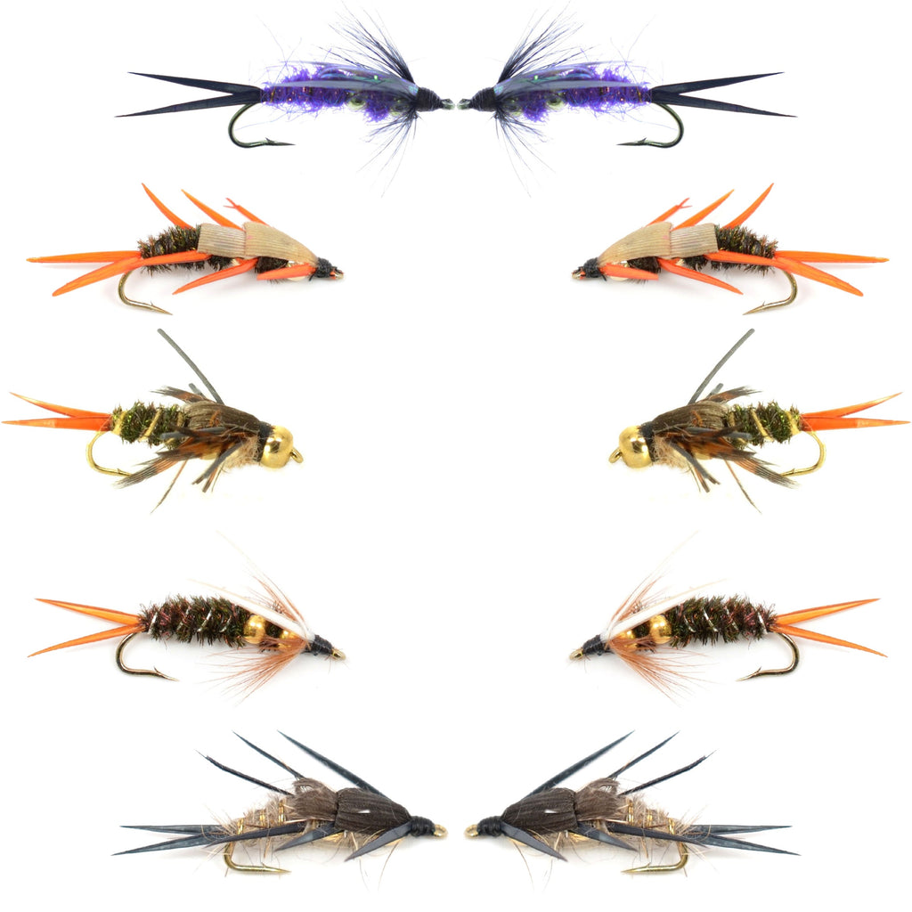 Basics Collection - Double Bead Head Nymph Assortment - 10 Wet Flies - 5 Patterns - Hook Size 12