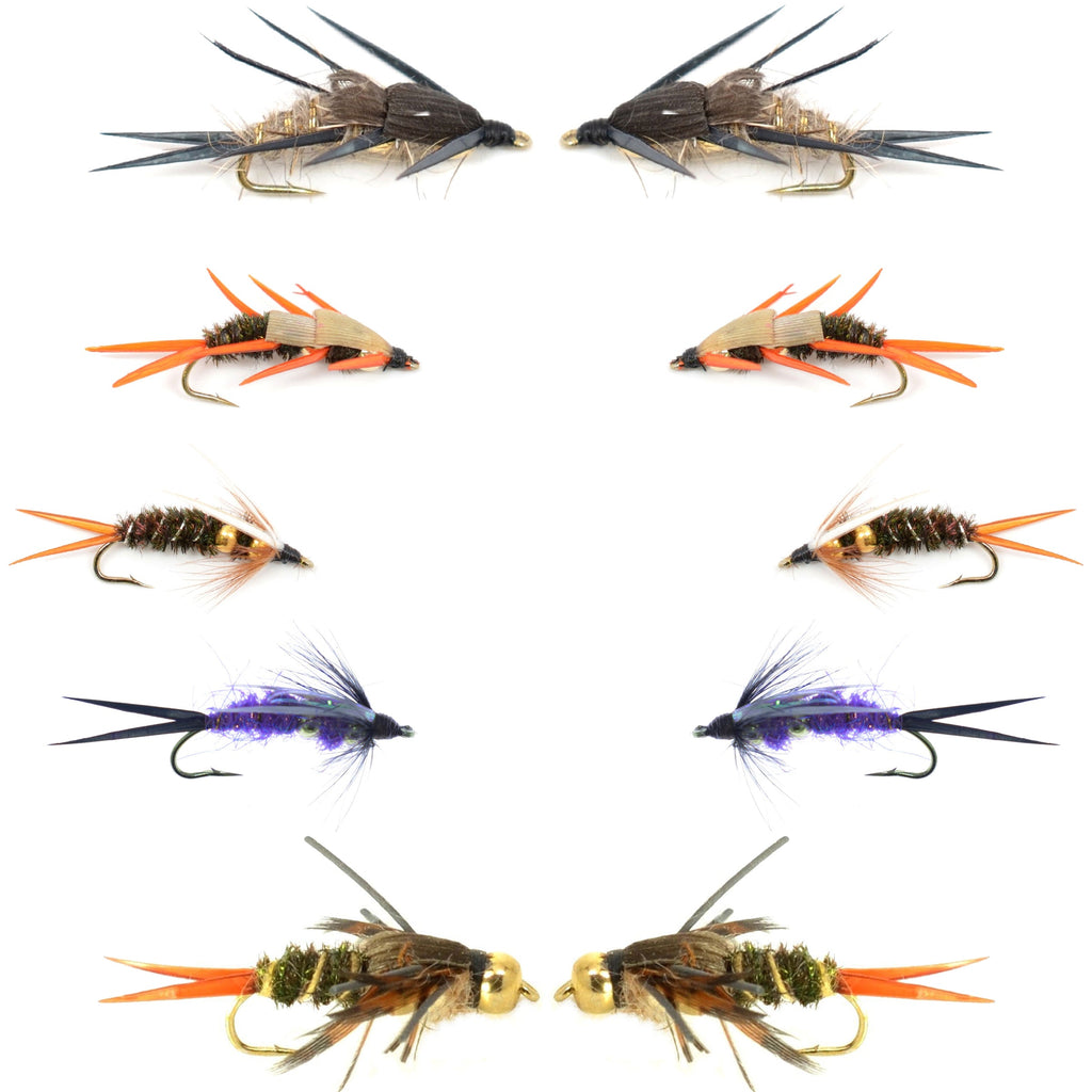 Basics Collection - Double Bead Head Nymph Assortment - 10 Wet Flies - 5 Patterns - Hook Size 10