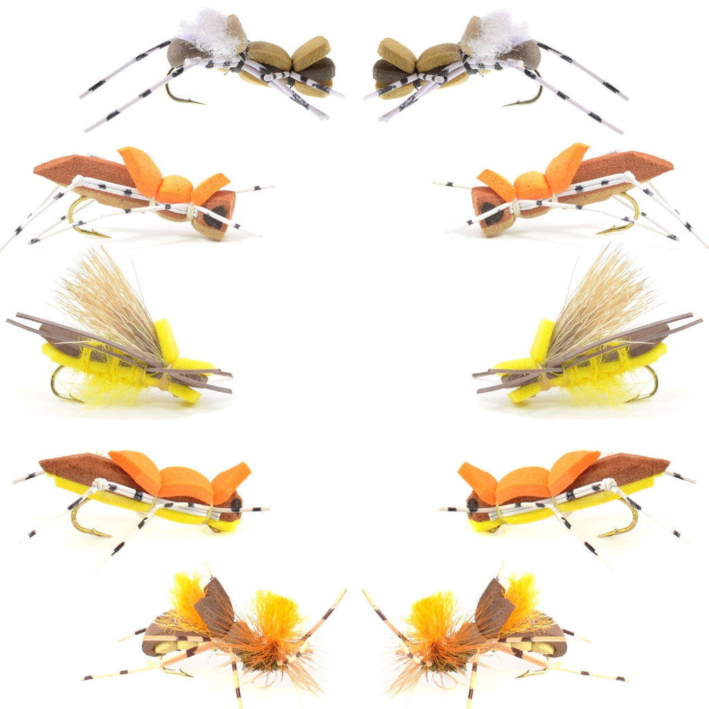 Basics Collection - Foam Hoppers Assortment - 10 Flies - Size 10