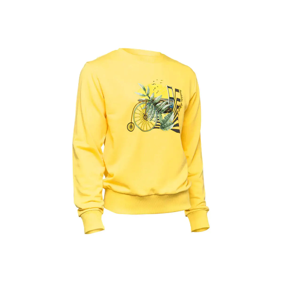 BiggDesign Nature Bicycle in Bosphorus Men Sweatshirt