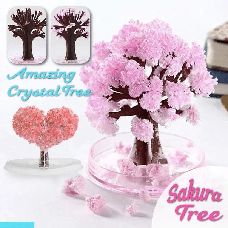 Blossom Magic Sakura Tree Kit