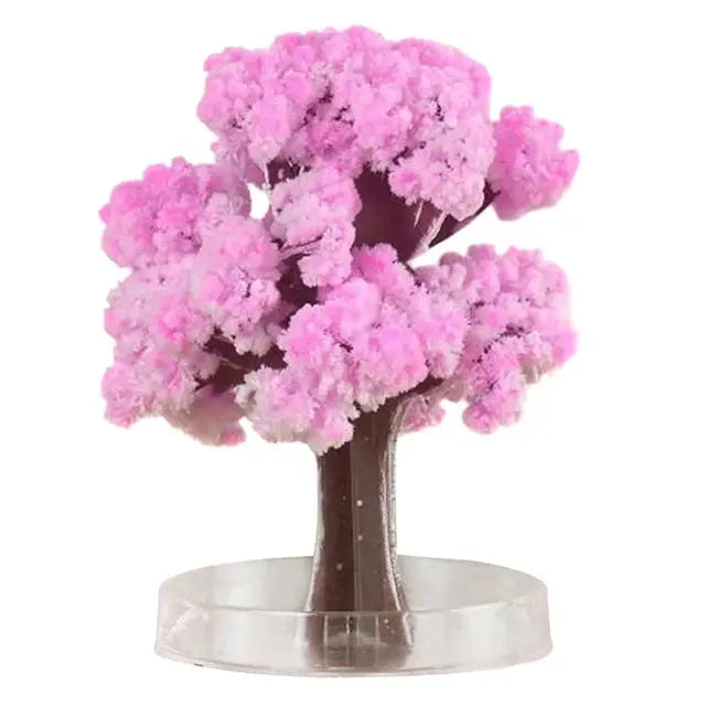 Blossom Magic Sakura Tree Kit