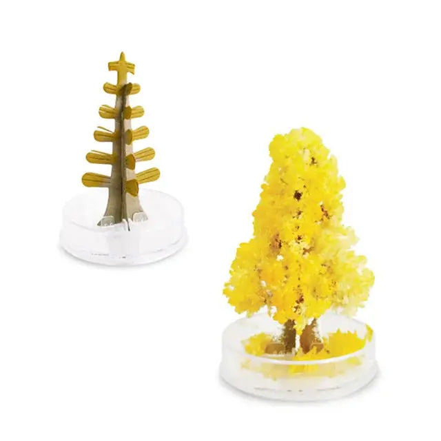 Blossom Magic Sakura Tree Kit