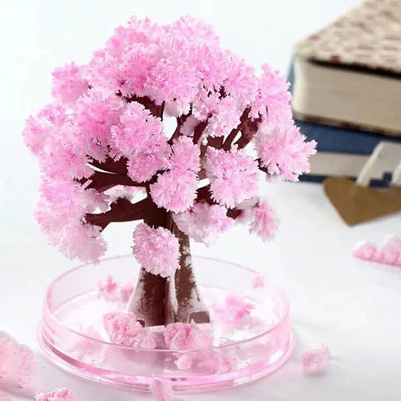 Blossom Magic Sakura Tree Kit