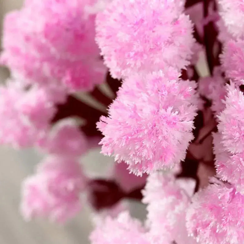 Blossom Magic Sakura Tree Kit