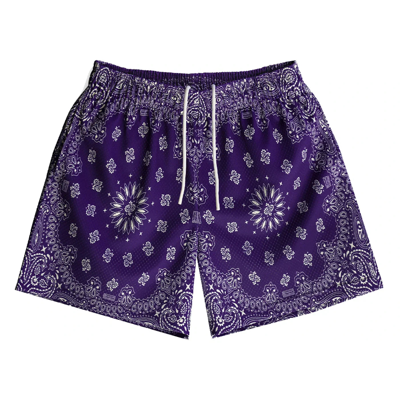 Bravest Studios Paisley Shorts Purple