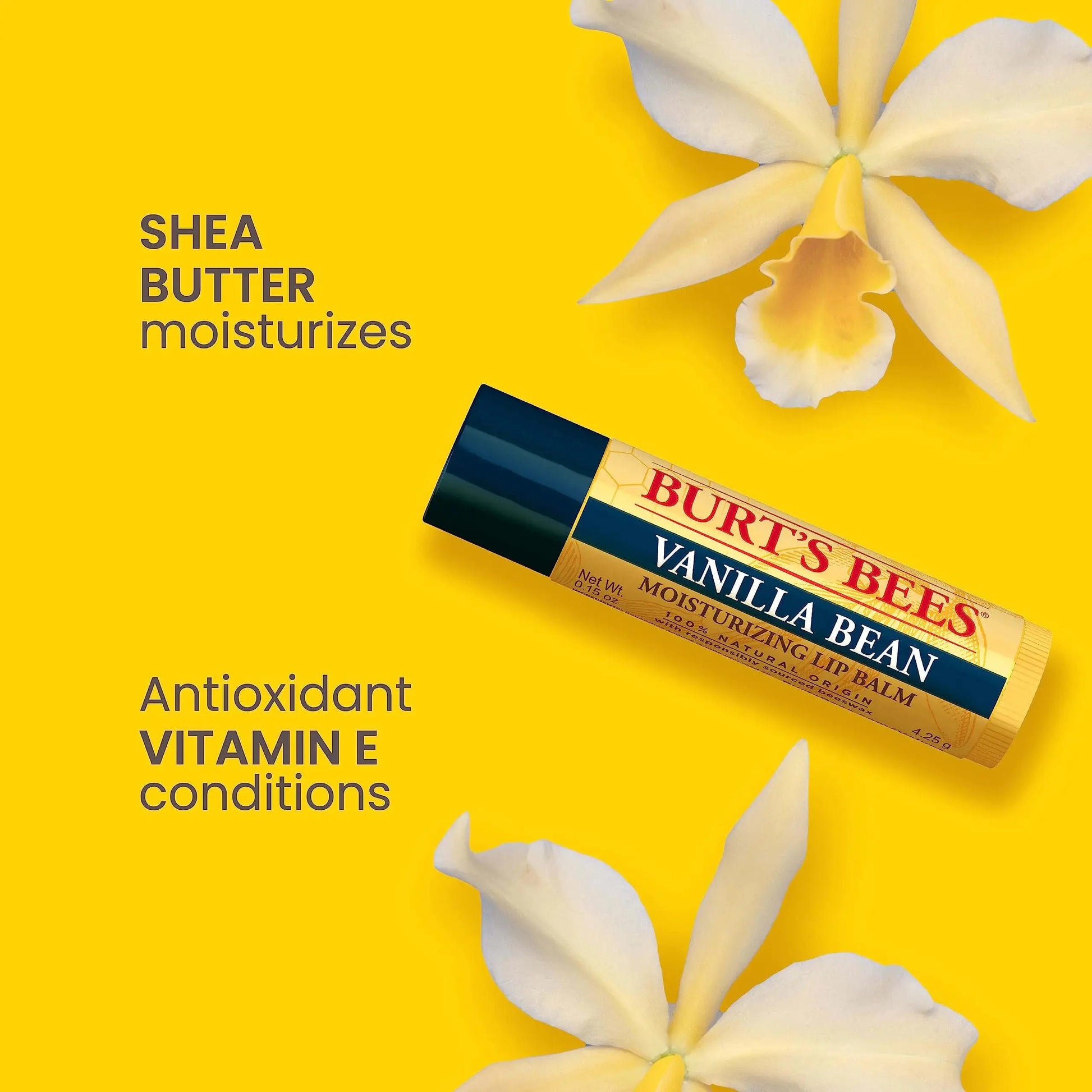 Burt's Bees Lip Balm | Lip Moisturizer With Responsibly Sourced Beeswax