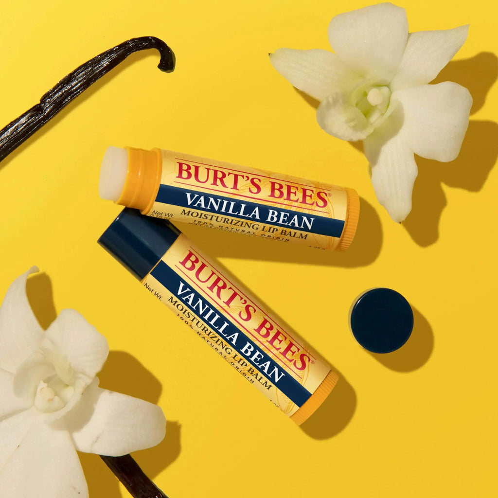 Burt's Bees Lip Balm | Lip Moisturizer With Responsibly Sourced Beeswax