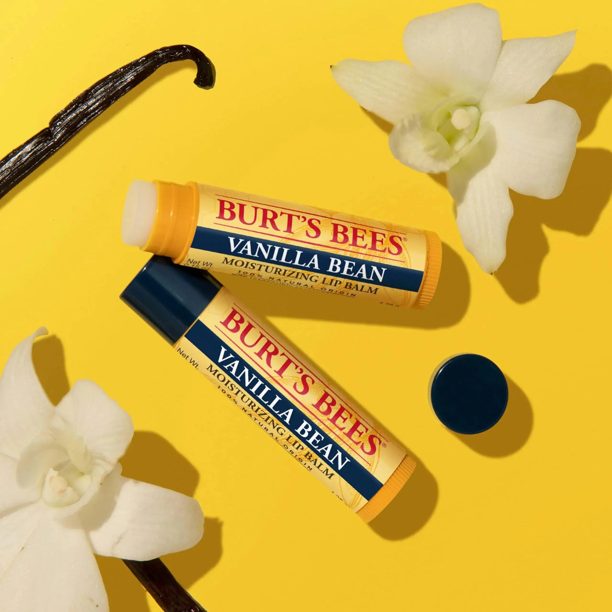 Burt's Bees Lip Balm | Lip Moisturizer With Responsibly Sourced Beeswax