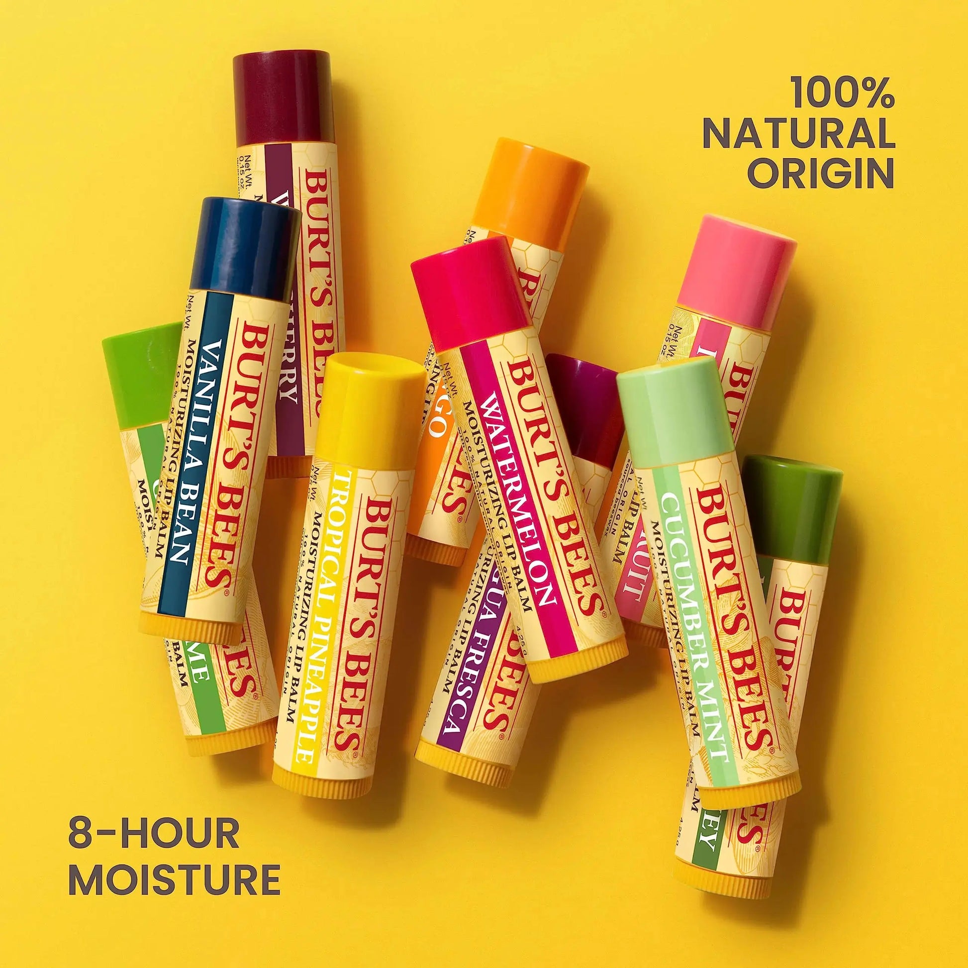 Burt's Bees Lip Balm | Lip Moisturizer With Responsibly Sourced Beeswax
