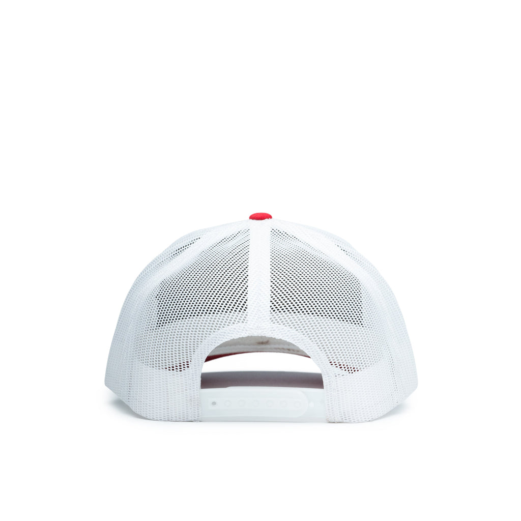 Largemouth Bass Patch Hat