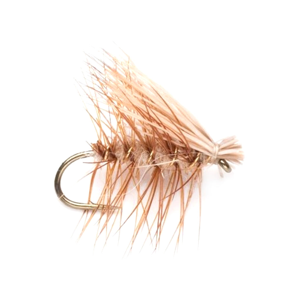 Basics Collection - Elk Hair Caddis Dry Fly Assortment - 10 Dry Fishing Flies - 5 Patterns - Hook Sizes 12, 14, 16, 18