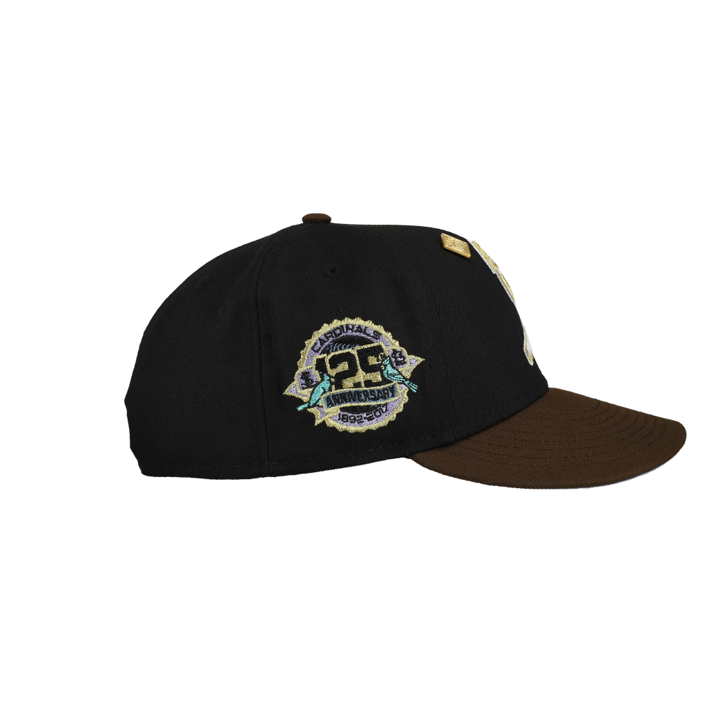 St Louis Cardinals Vintage Series 25th Anniversary Fitted Hat