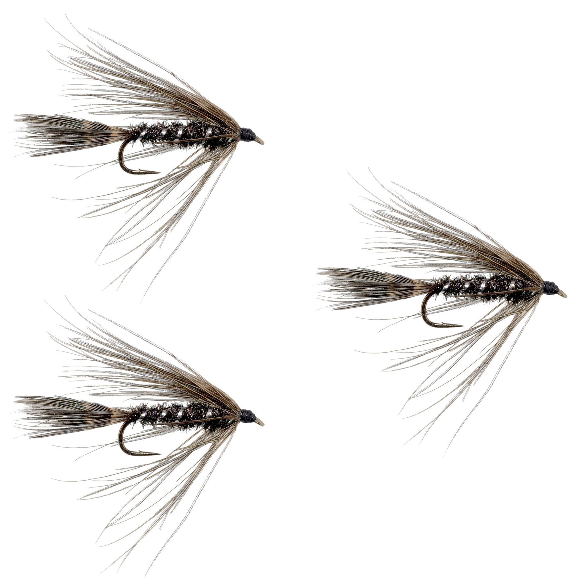 3 Pack Carey Special Soft Hackle Grouse and Peacock Wet Fly - Hook Size 10