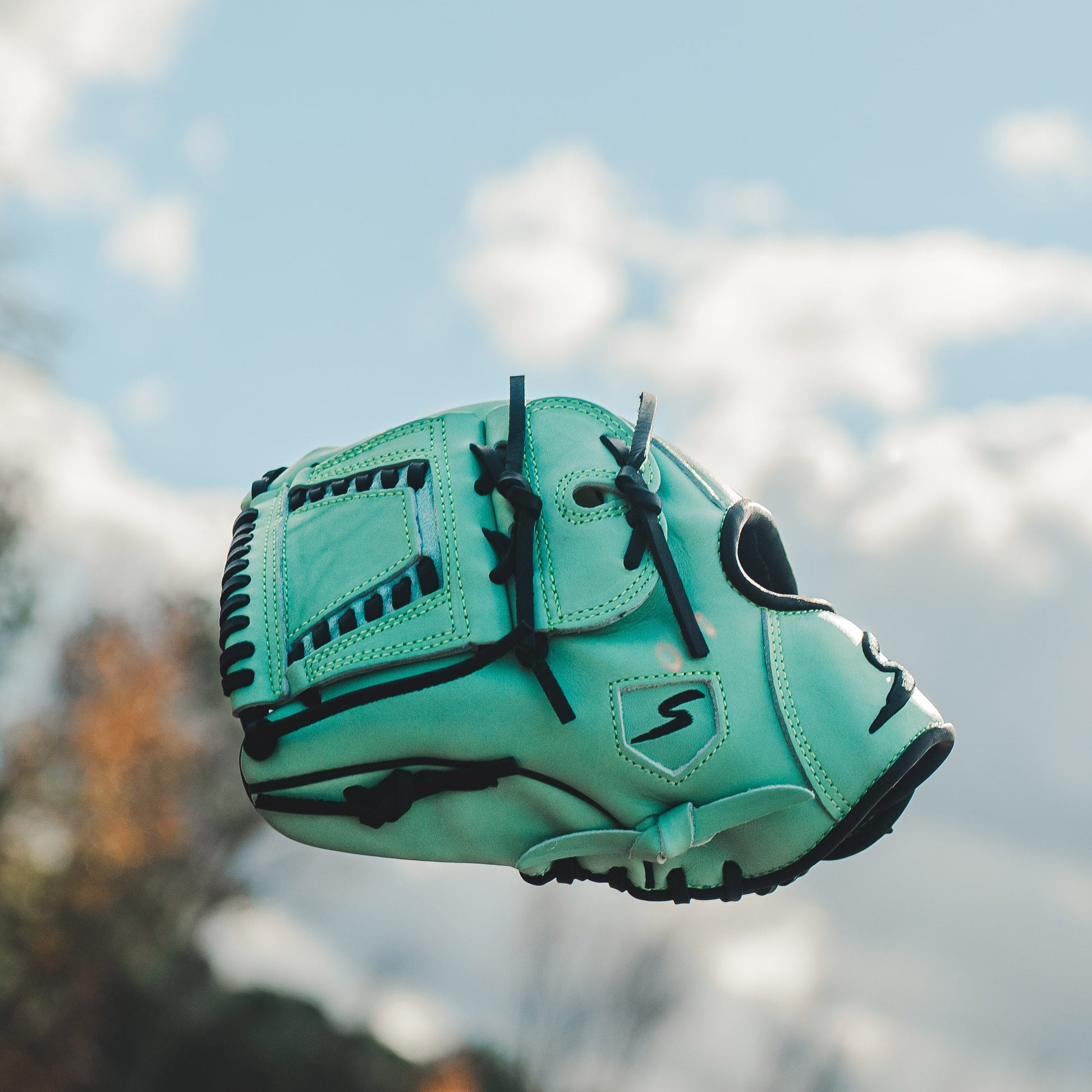 Stinger Cashflow 12" Baseball - Softball Fielding Glove