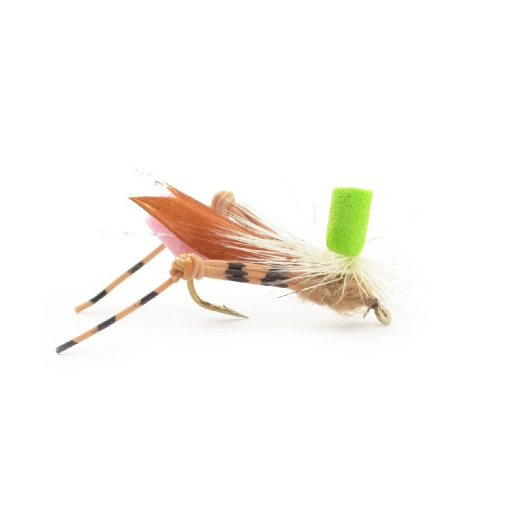 Trout Fly Assortment - Essential Terrestrials Fly Fishing Flies Collection - Includes Foam Hoppers, Ants, Beetles, and Cicadas - 1 Dozen Trout Flies with Fly Box