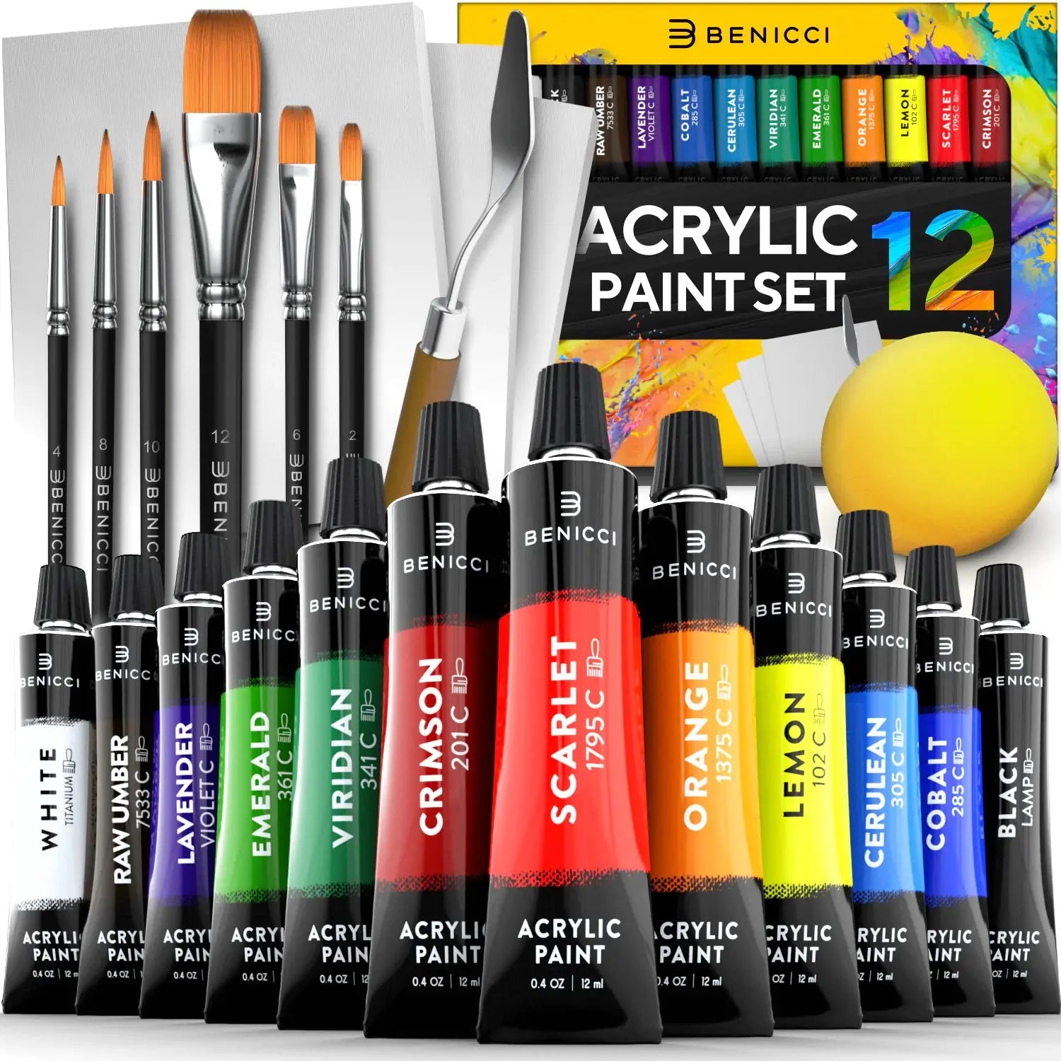 ColorSplash Acrylic Paint Set - 12 Vivid Colors with Brushes & Canvases