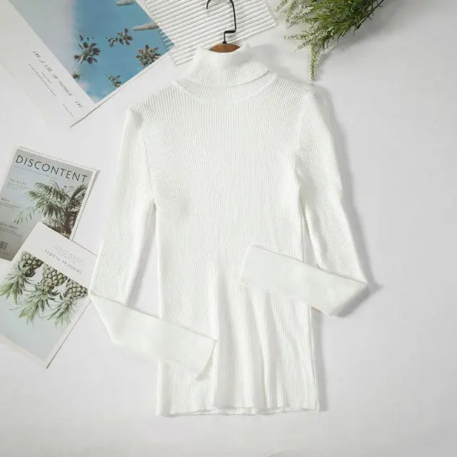 Cozy & Stylish Turtleneck Women Sweater