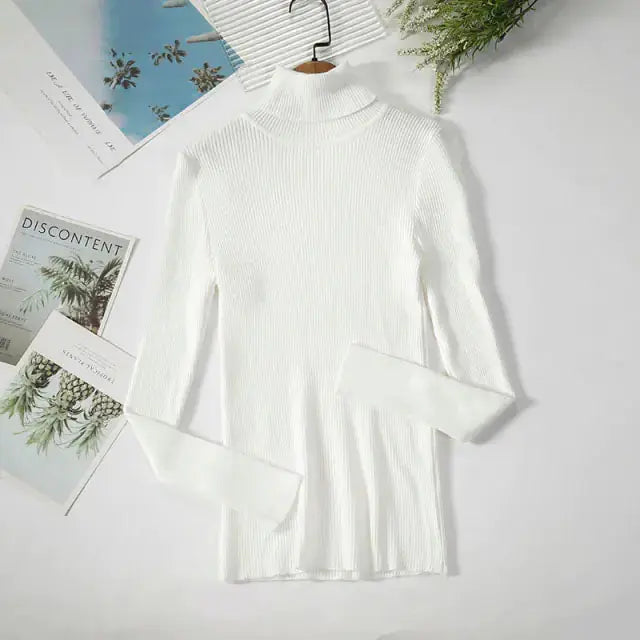 Cozy & Stylish Turtleneck Women Sweater