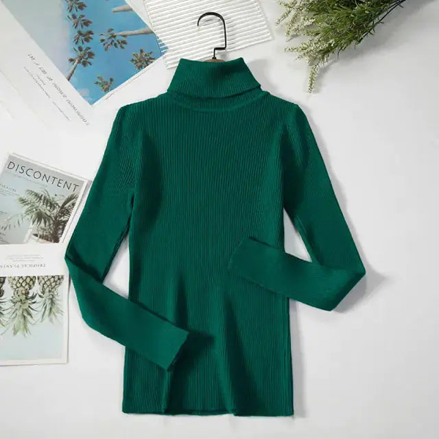 Cozy & Stylish Turtleneck Women Sweater