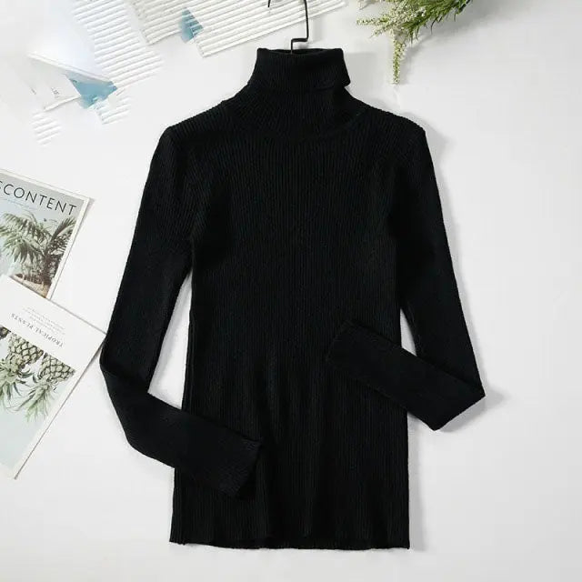 Cozy & Stylish Turtleneck Women Sweater