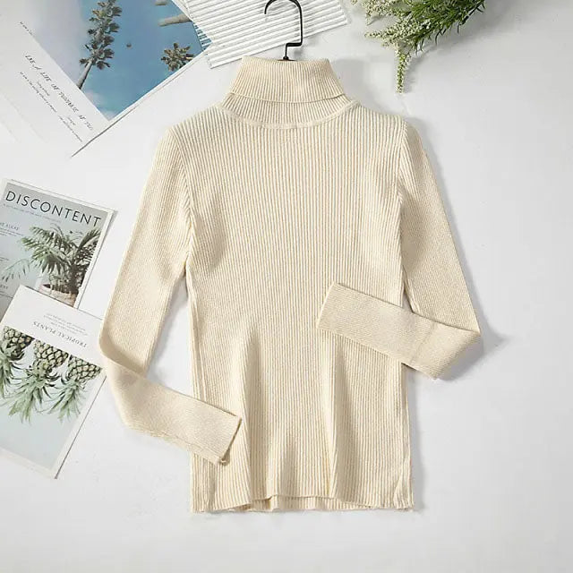 Cozy & Stylish Turtleneck Women Sweater