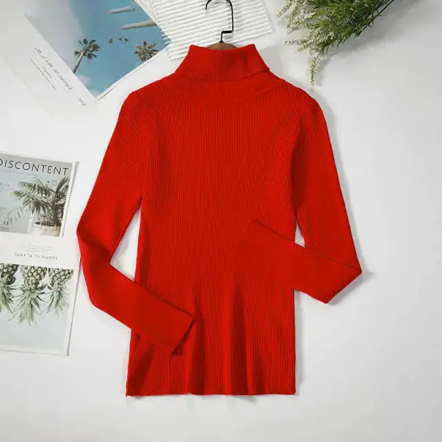 Cozy & Stylish Turtleneck Women Sweater