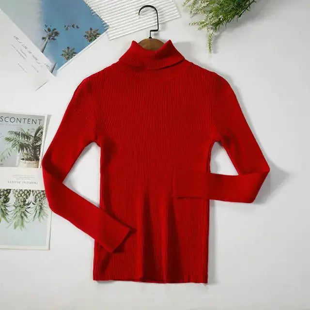 Cozy & Stylish Turtleneck Women Sweater