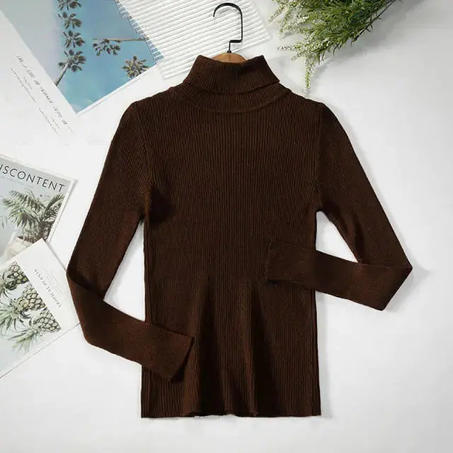 Cozy & Stylish Turtleneck Women Sweater