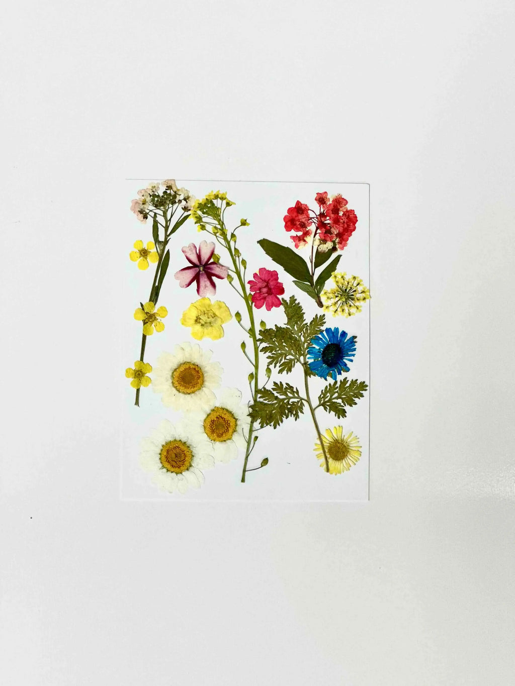 Crafty UV Resin Beginner Kit