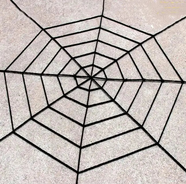Creepy Cuddles Spider Set