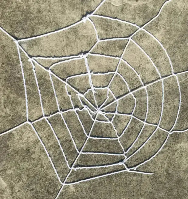 Creepy Cuddles Spider Set
