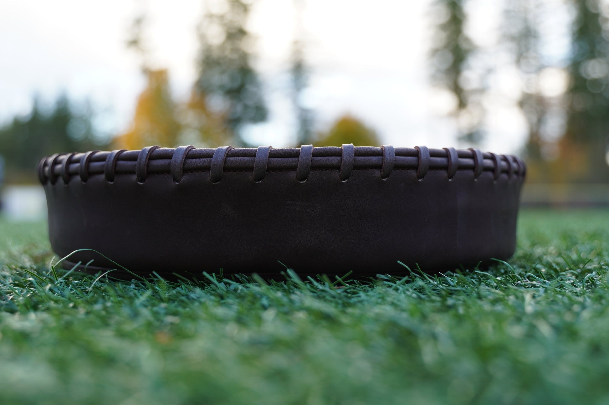 Grace Ball Glove Pounding Pad – Premium Kip Leather for Safe Break-In