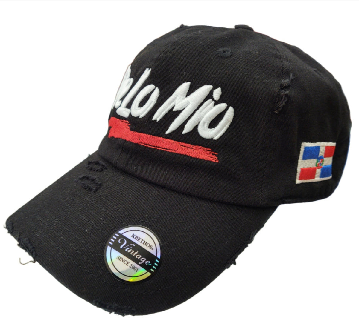 De lo mio embroidered Logo Vintage Hats (Black / Full Color)