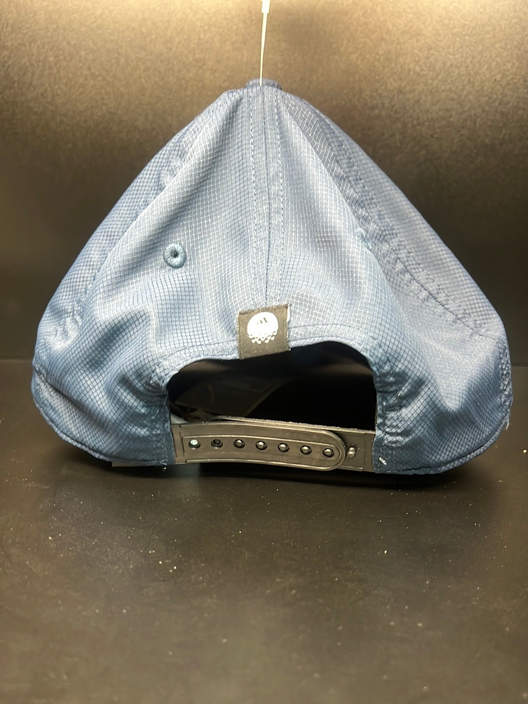 ParWest - Oregon Outline SnapBack