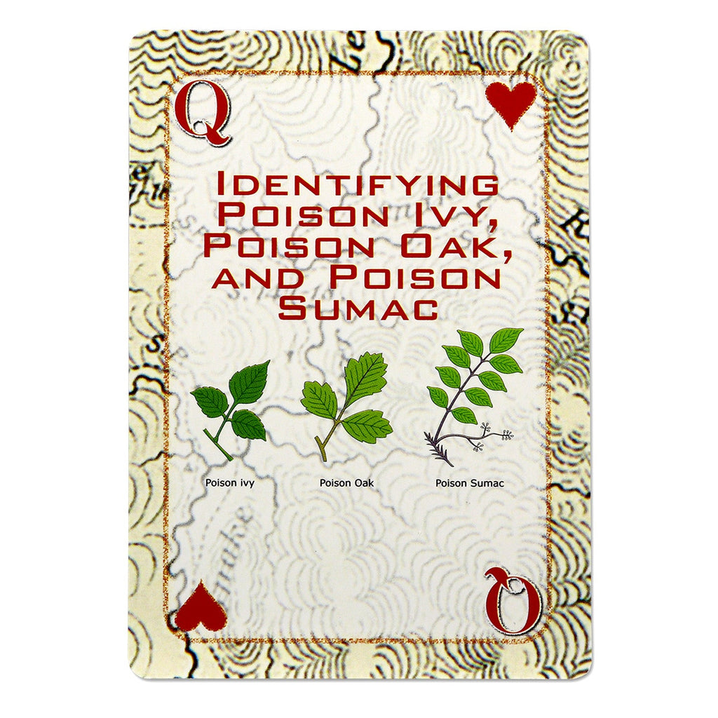 Deck of Survival Playing Cards