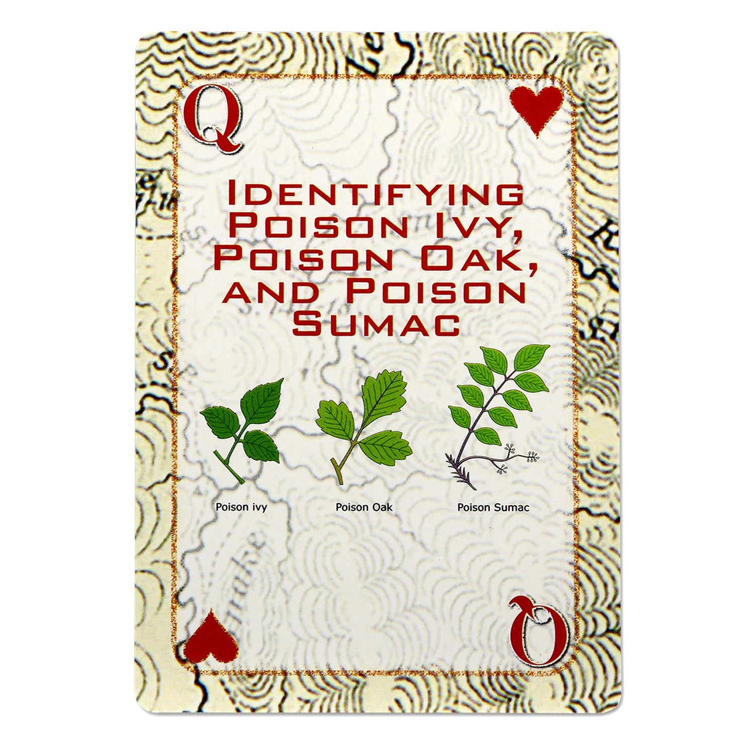 Deck of Survival Playing Cards