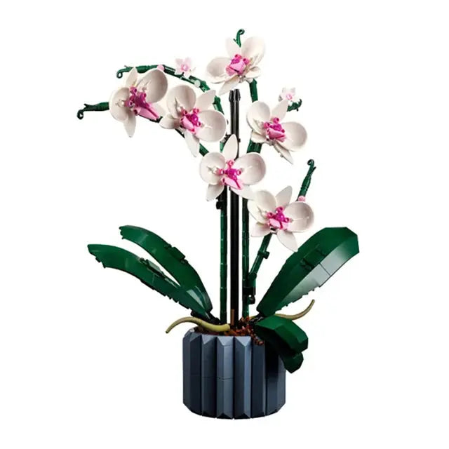 Elegant Orchid Builder Set