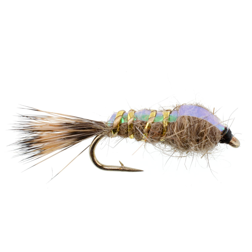 Classic Weighted Flashback Gold Ribbed Hares Ear Nymph - Set of 6 Flies - Size 16