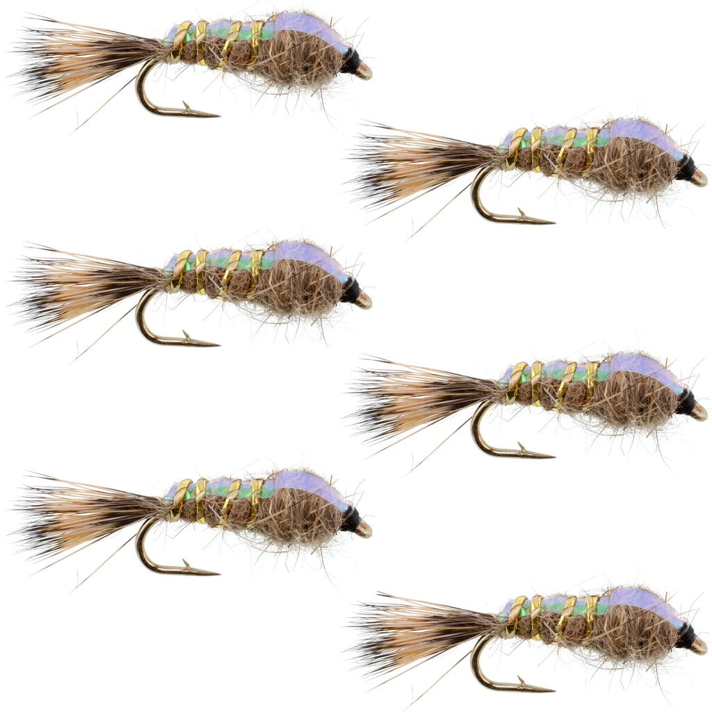 Classic Weighted Flashback Gold Ribbed Hares Ear Nymph - Set of 6 Flies - Size 16