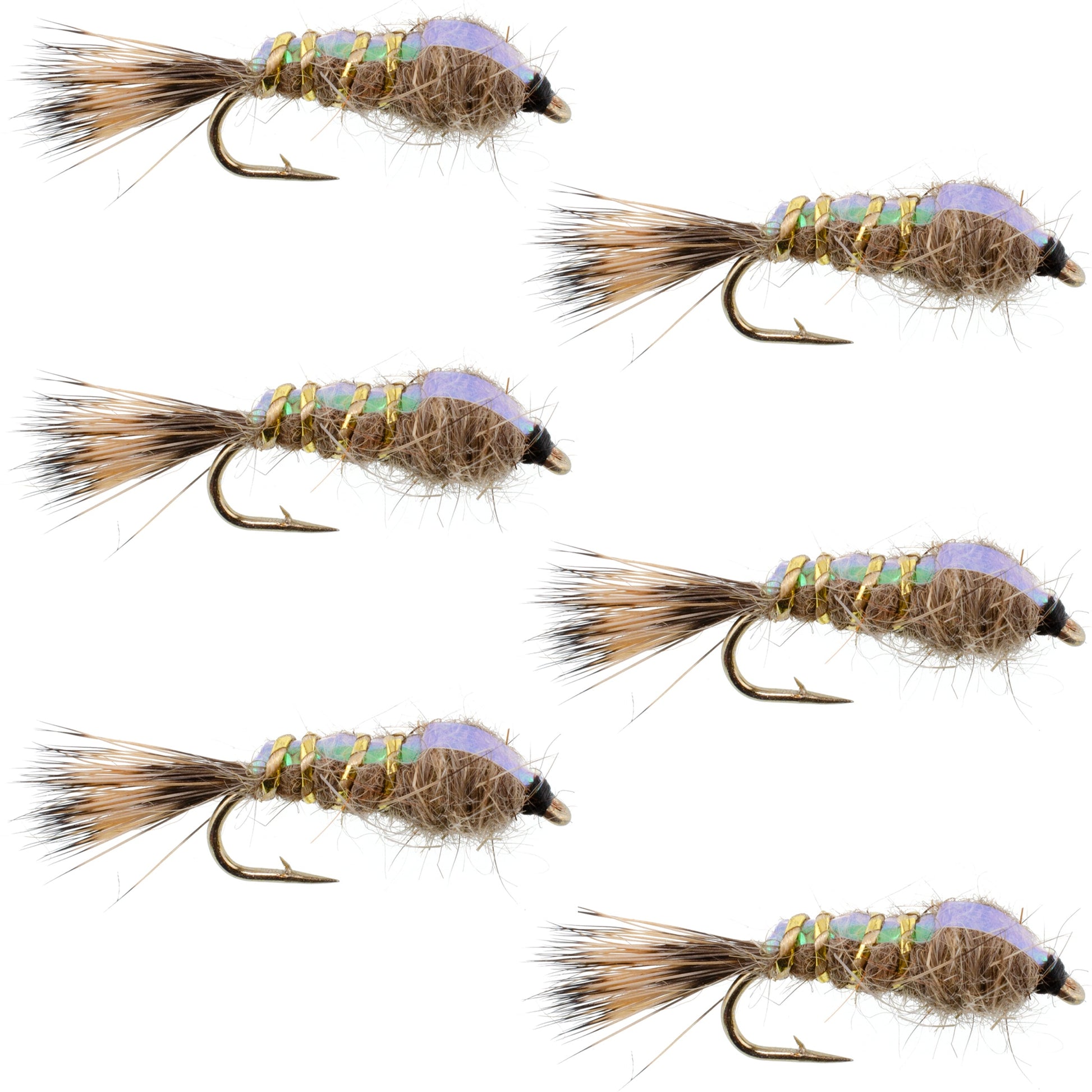 Classic Weighted Flashback Gold Ribbed Hares Ear Nymph - Set of 6 Flies - Size 18