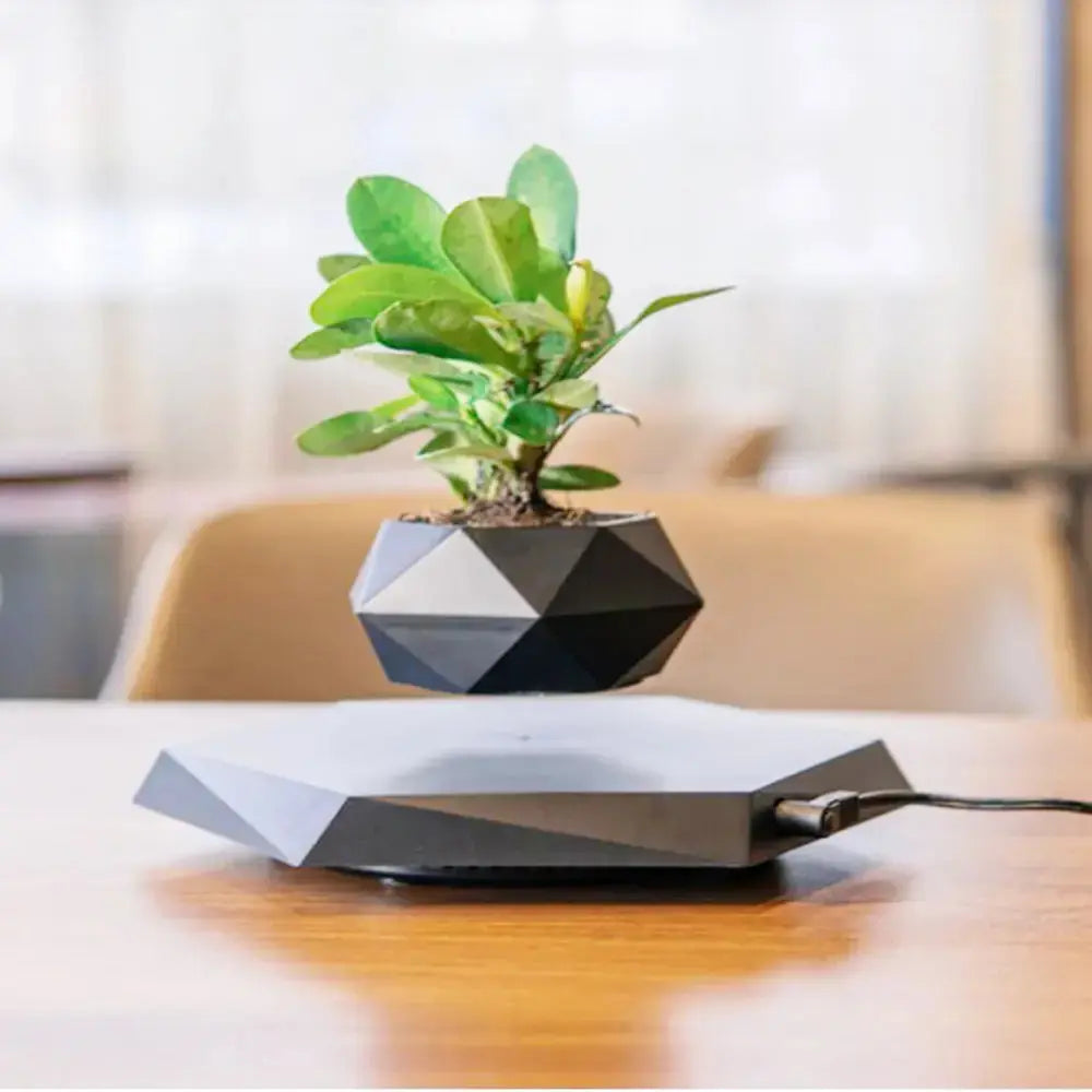 Floating Enchantment Planters