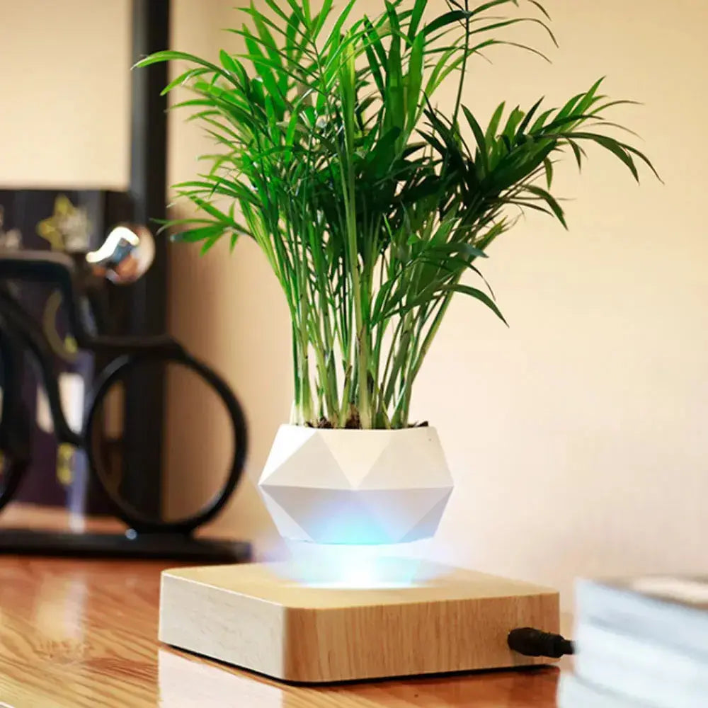 Floating Enchantment Planters