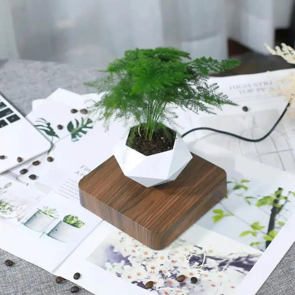 Floating Enchantment Planters